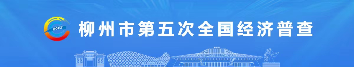 柳州市第五次全国经济普查